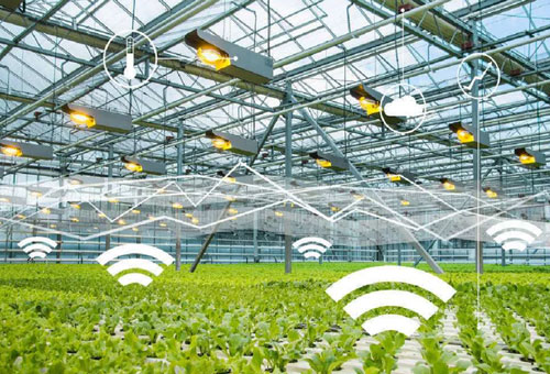 探究富硒产业发展现状(中国富硒农业前景？)-硒宝网