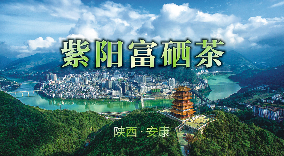 陕西富硒茶产地在哪里(陕西富硒茶哪里正宗)-硒宝网