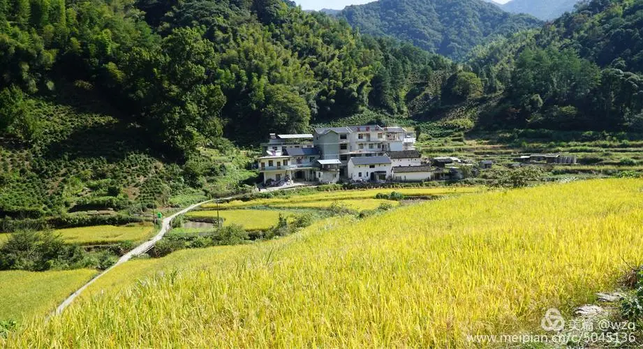 中国三大富硒村是哪里?(中国含富硒三大地方)-硒宝网