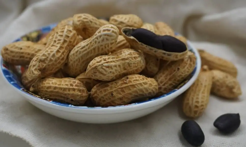 富硒黑花生的功效与作用(吃富硒黑花生有什么好处)-硒宝网