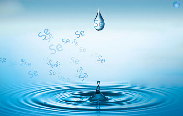 天然富硒水对人体有哪些益处(天然富硒矿泉水的好处)-硒宝网