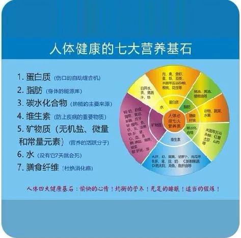 硒代半胱氨酸是必需氨基酸吗？（必需氨基酸有哪8种）-硒宝网