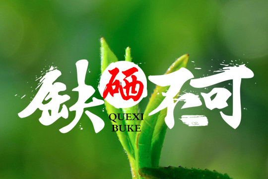 补硒产品哪个好(哪种补硒产品比较好)-硒宝网