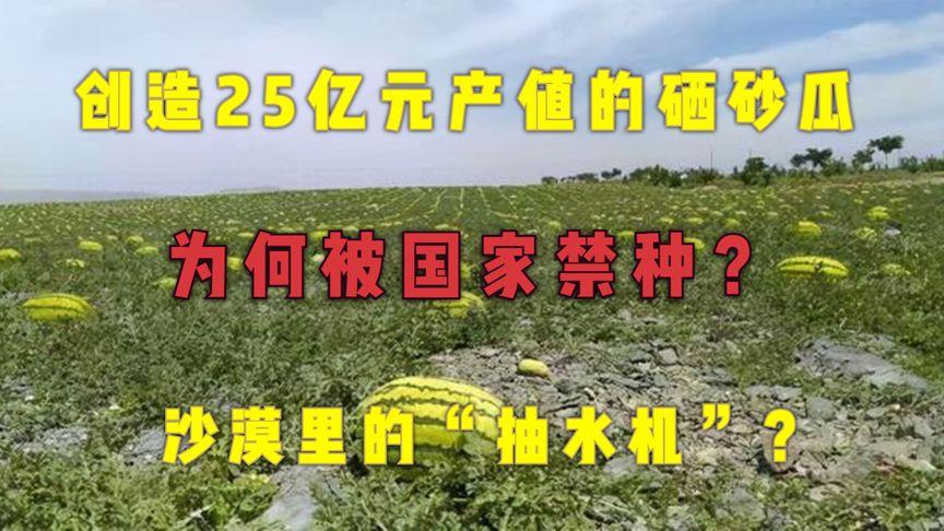 中卫硒砂瓜为什么不让种了(2023年宁夏石头瓜禁种原因)-硒宝网