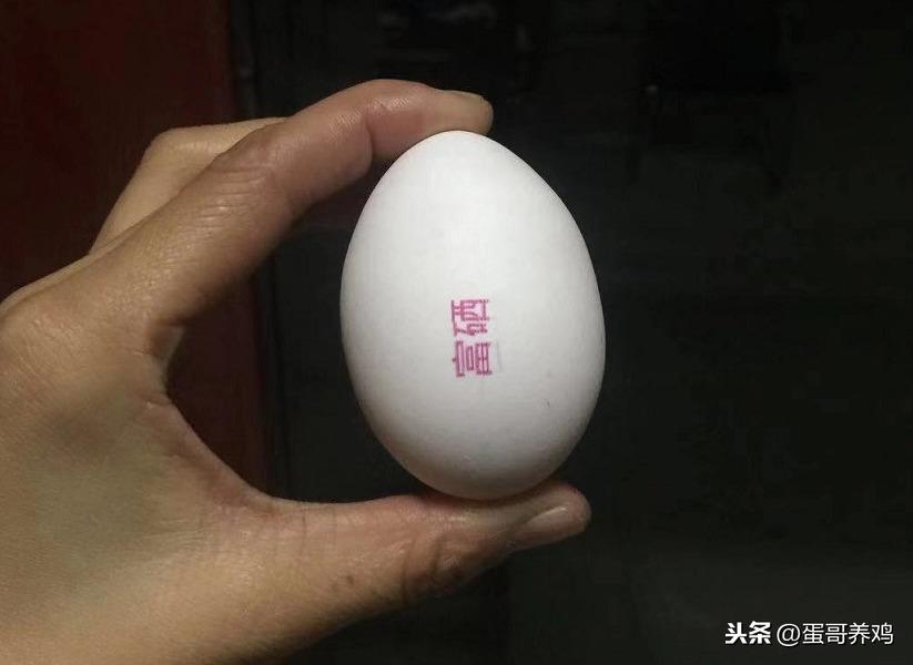 孕妇吃富硒鸡蛋好吗(孕妇鸡蛋吃富硒好吗)-硒宝网