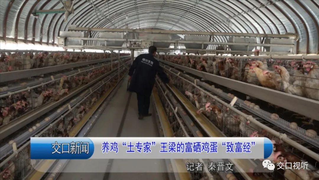 富硒鸡蛋价格(富硒鸡蛋产地哪里的好)-硒宝网