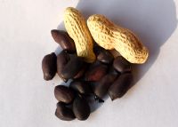 甲壳素富硒鸡蛋好不好（甲壳素富硒蛋价格）-硒宝网