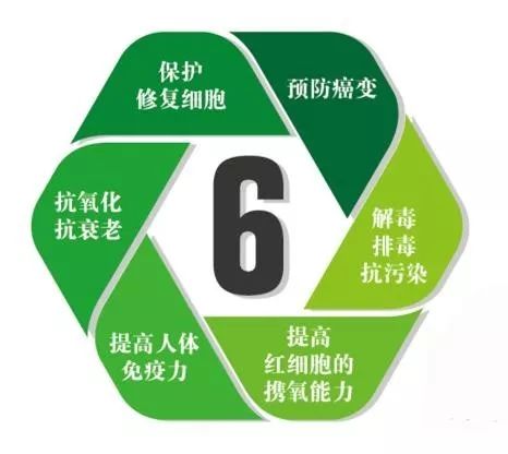 湖南桃源富硒鸡蛋（桃源富硒鸡蛋的价格）-硒宝网