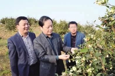 湖南桃源富硒鸡蛋（桃源富硒鸡蛋的价格）-硒宝网