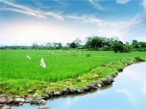 湖南桃源富硒鸡蛋（桃源富硒鸡蛋的价格）-硒宝网