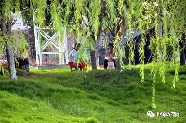 湖南桃源富硒鸡蛋（桃源富硒鸡蛋的价格）-硒宝网