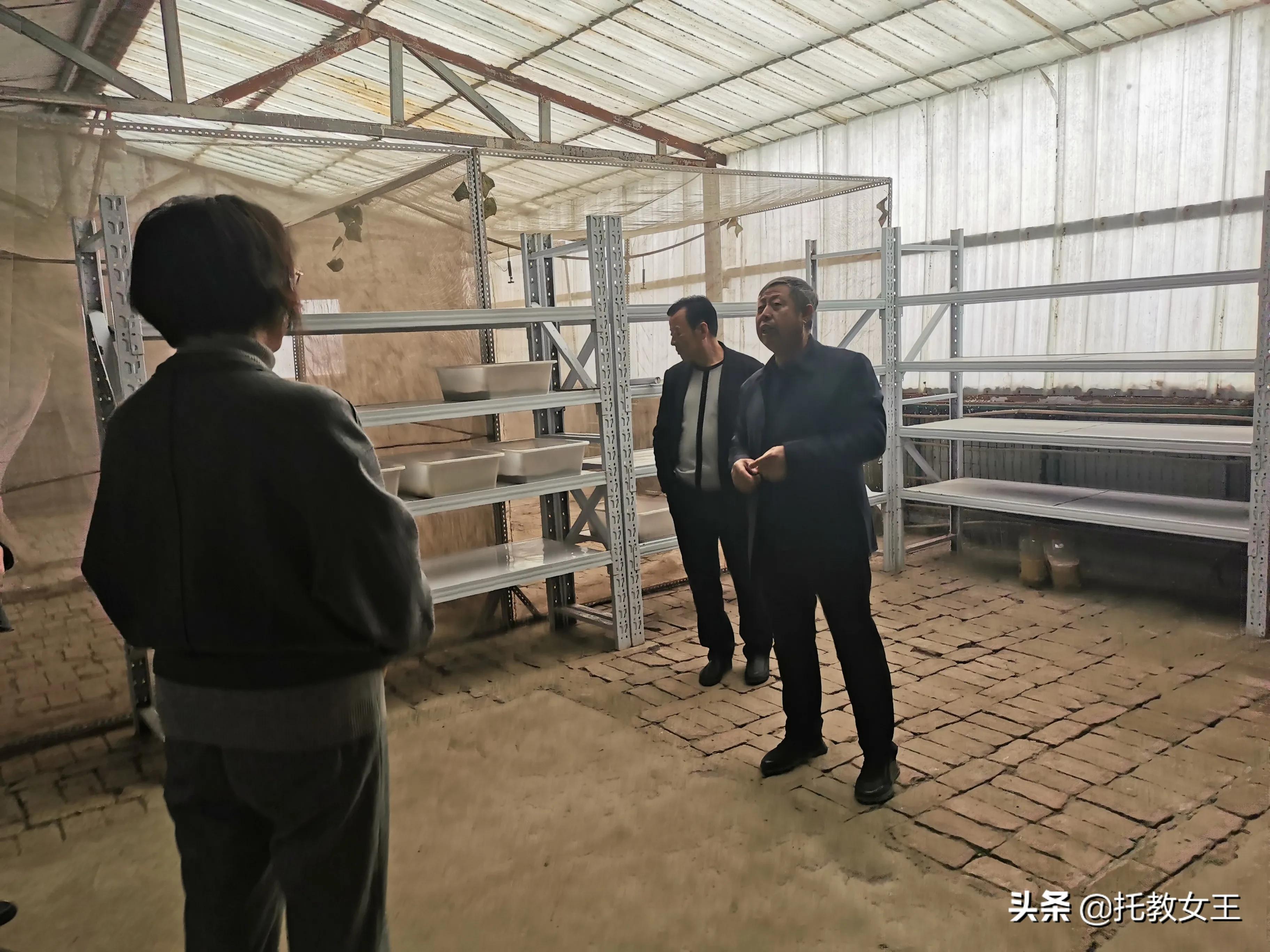 富硒低胆固醇鸡蛋(胆固醇鸡蛋低富硒能吃吗)-硒宝网