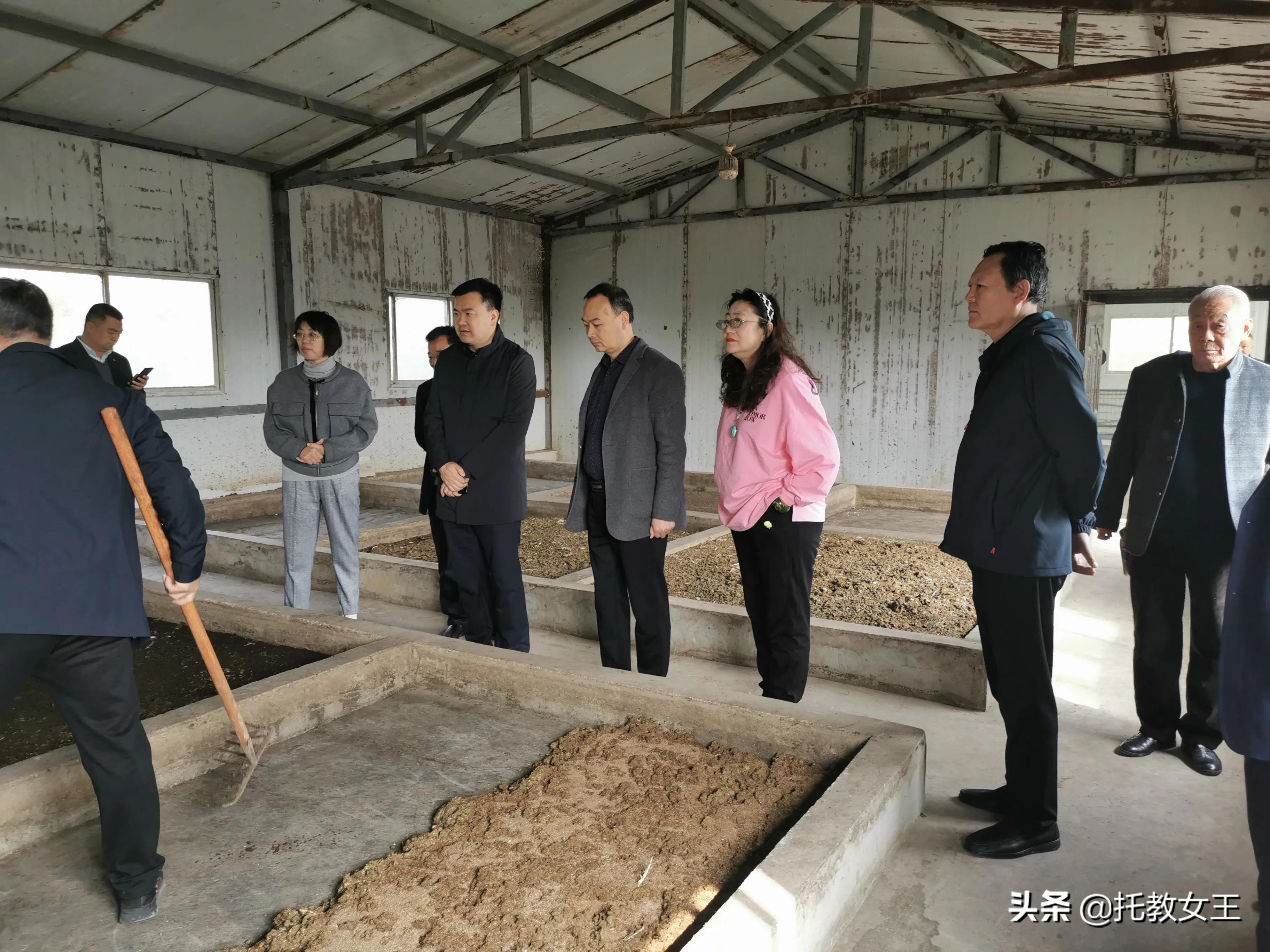 富硒低胆固醇鸡蛋(胆固醇鸡蛋低富硒能吃吗)-硒宝网