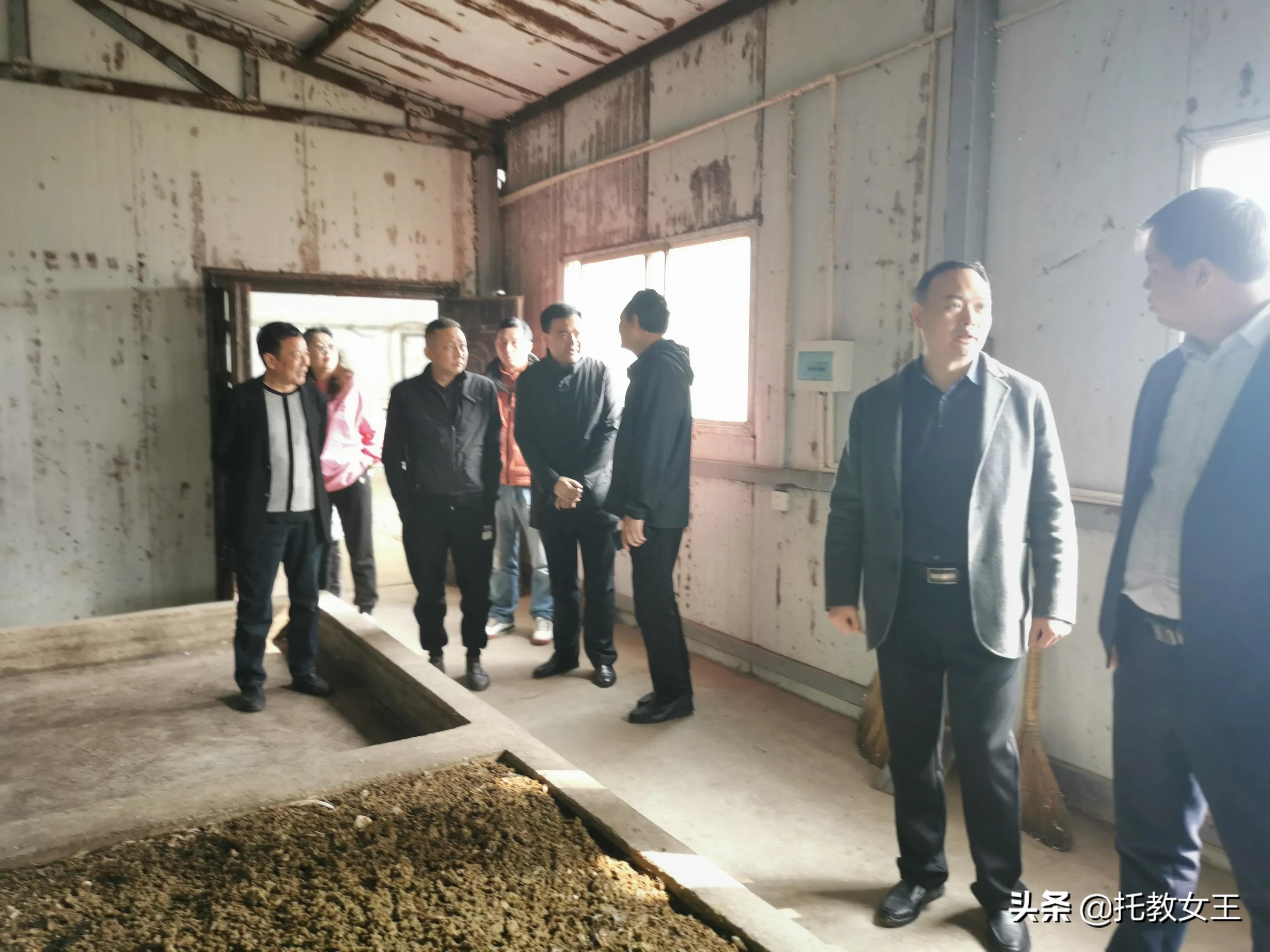 富硒低胆固醇鸡蛋(胆固醇鸡蛋低富硒能吃吗)-硒宝网