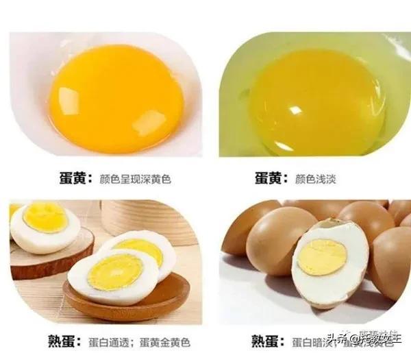 富硒低胆固醇鸡蛋(胆固醇鸡蛋低富硒能吃吗)-硒宝网