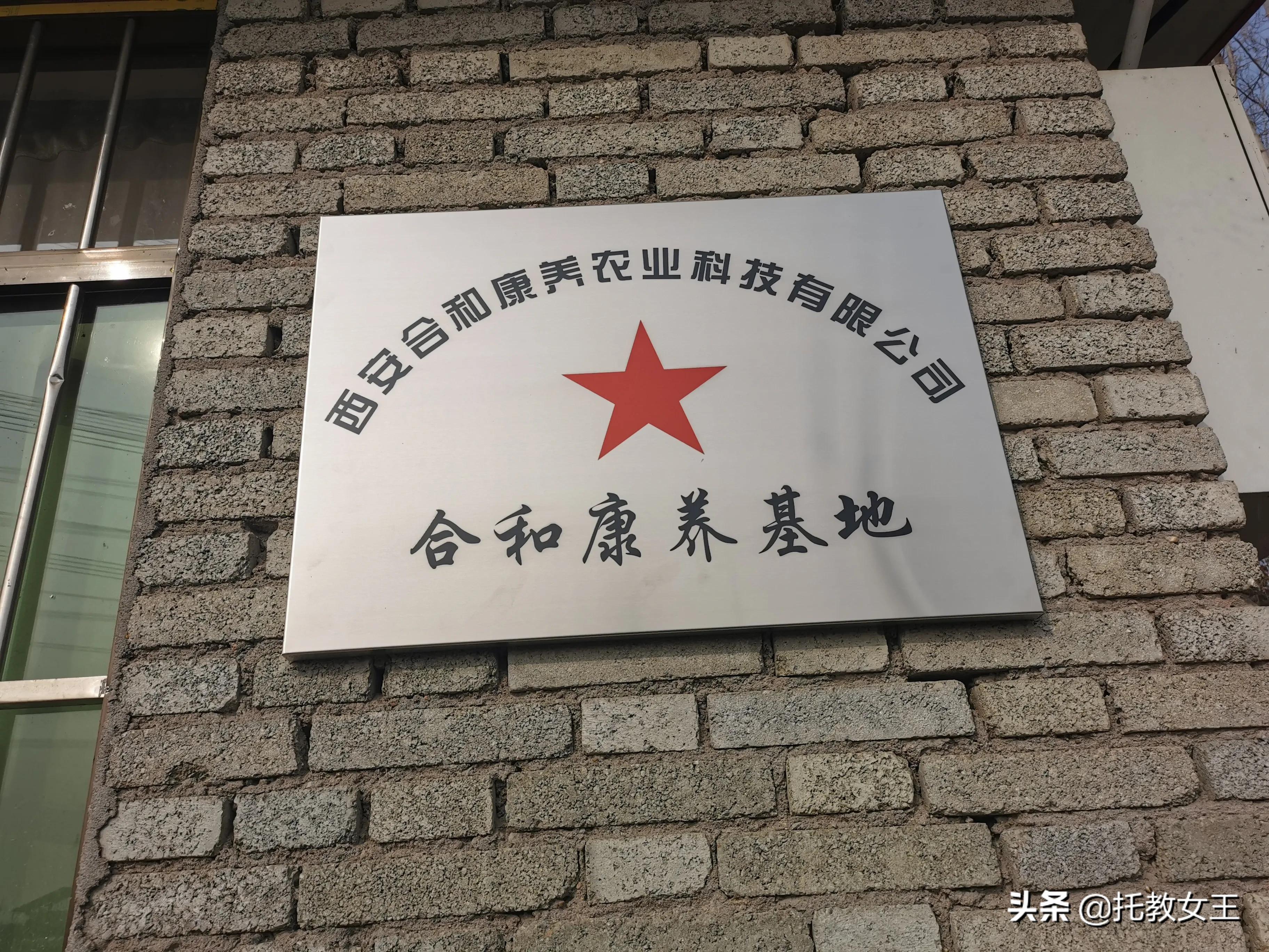 富硒低胆固醇鸡蛋(胆固醇鸡蛋低富硒能吃吗)-硒宝网