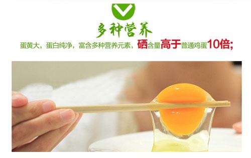 富含硒鸡蛋孕妇能吃吗（孕妇可以吃含硒的鸡蛋吗）-硒宝网