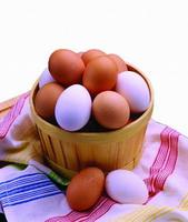 富硒玉米黄鸡蛋（玉米鸡蛋黄富硒含量多少）-硒宝网