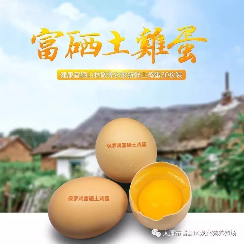 富硒玉米黄鸡蛋（玉米黄鸡蛋和富硒蛋）-硒宝网