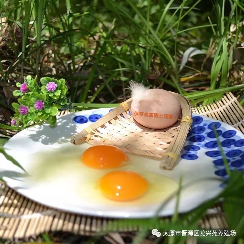 富硒玉米黄鸡蛋（玉米黄鸡蛋和富硒蛋）-硒宝网