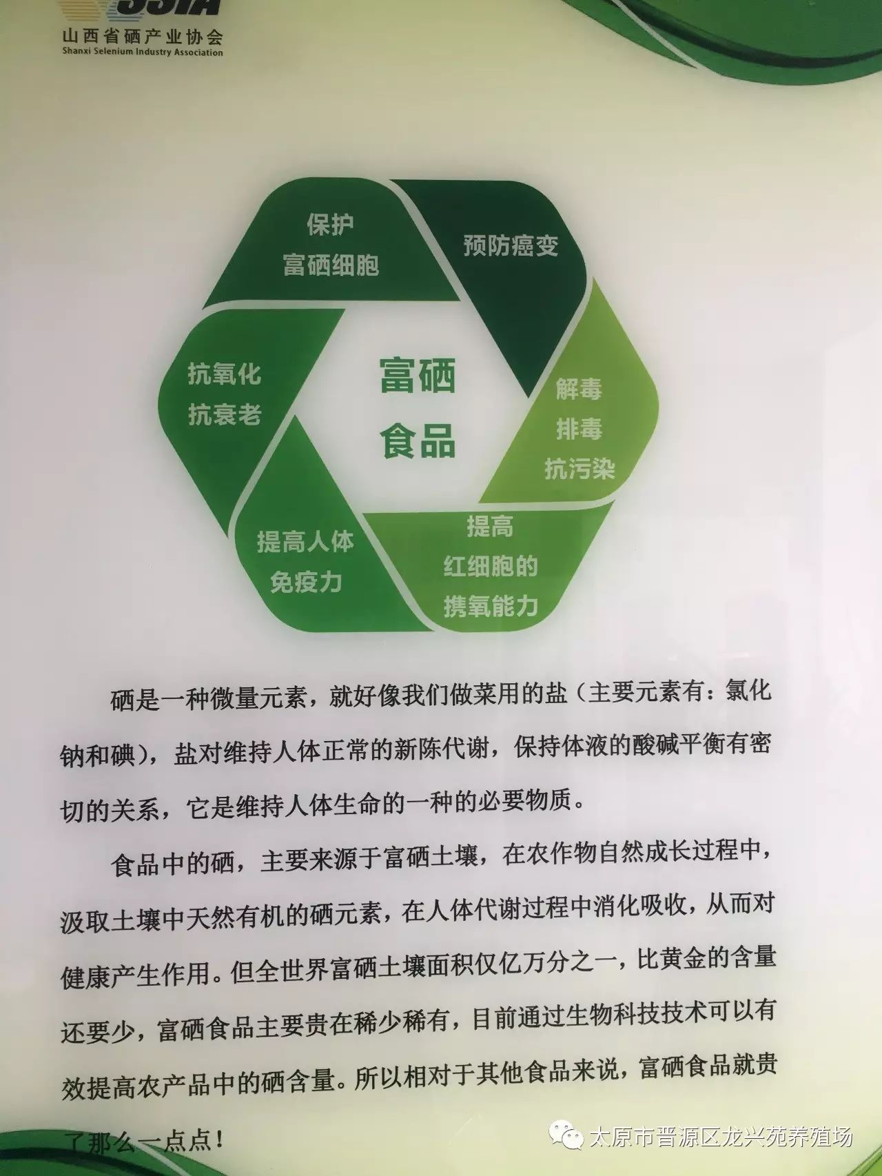 富硒玉米黄鸡蛋（玉米黄鸡蛋和富硒蛋）-硒宝网