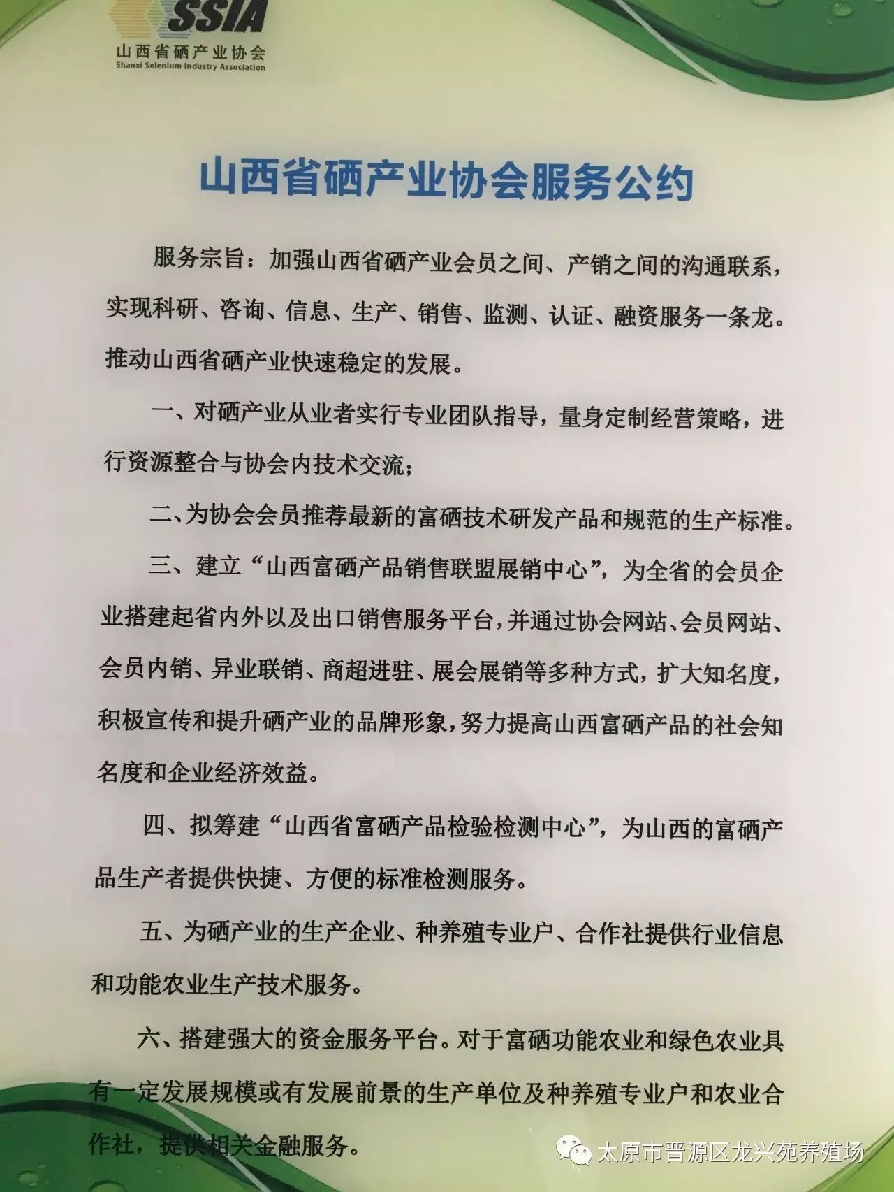 富硒玉米黄鸡蛋（玉米黄鸡蛋和富硒蛋）-硒宝网