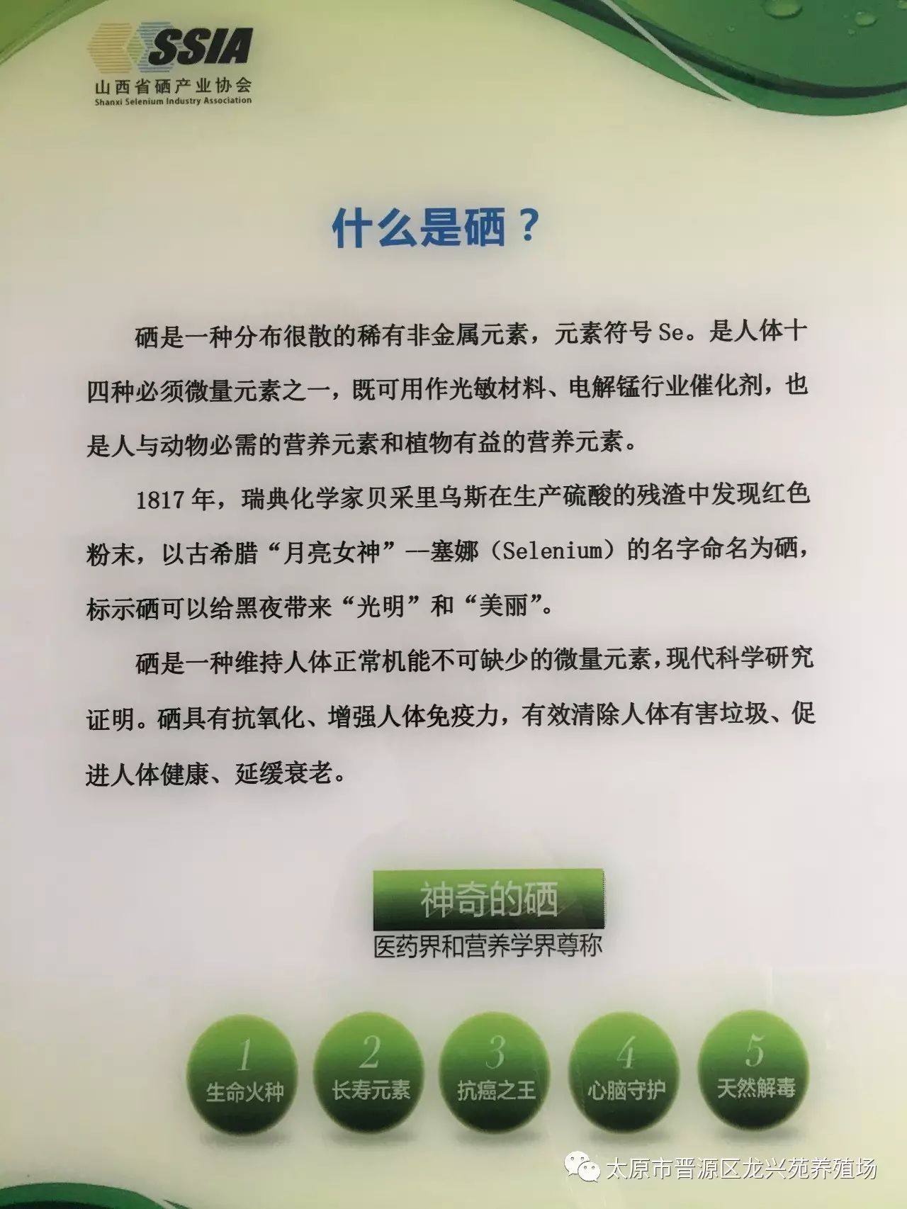 富硒玉米黄鸡蛋（玉米黄鸡蛋和富硒蛋）-硒宝网