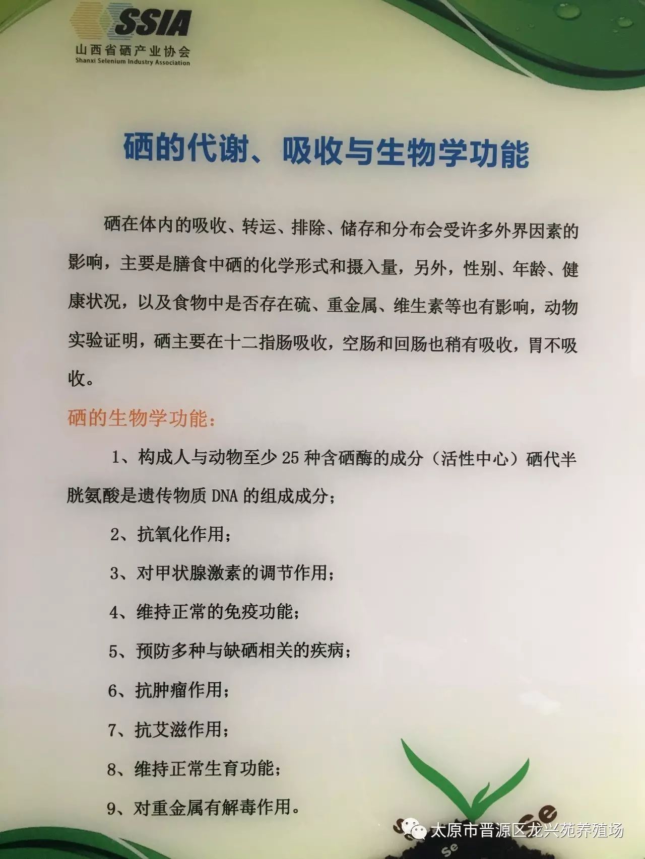 富硒玉米黄鸡蛋（玉米黄鸡蛋和富硒蛋）-硒宝网