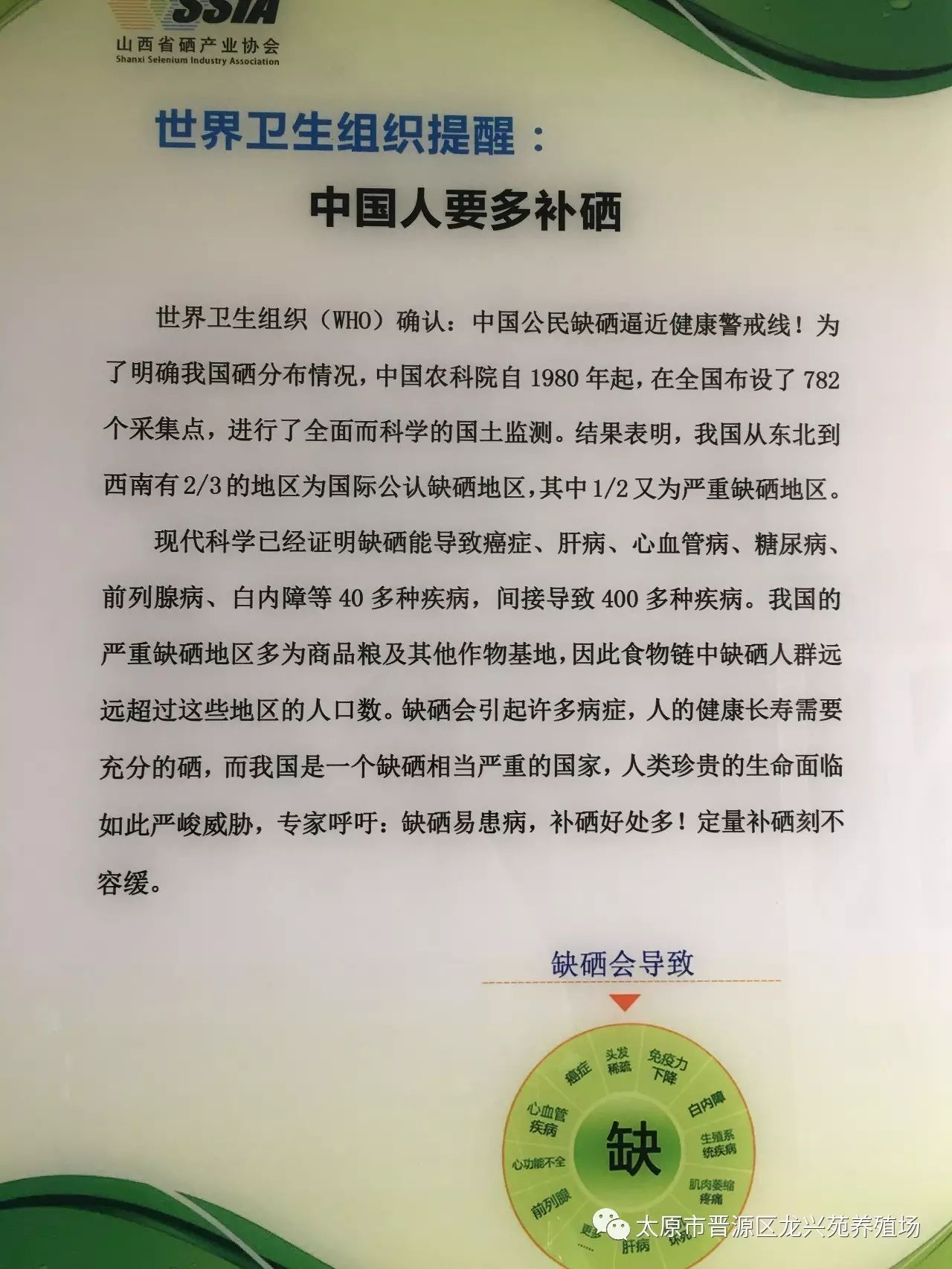 富硒玉米黄鸡蛋（玉米黄鸡蛋和富硒蛋）-硒宝网