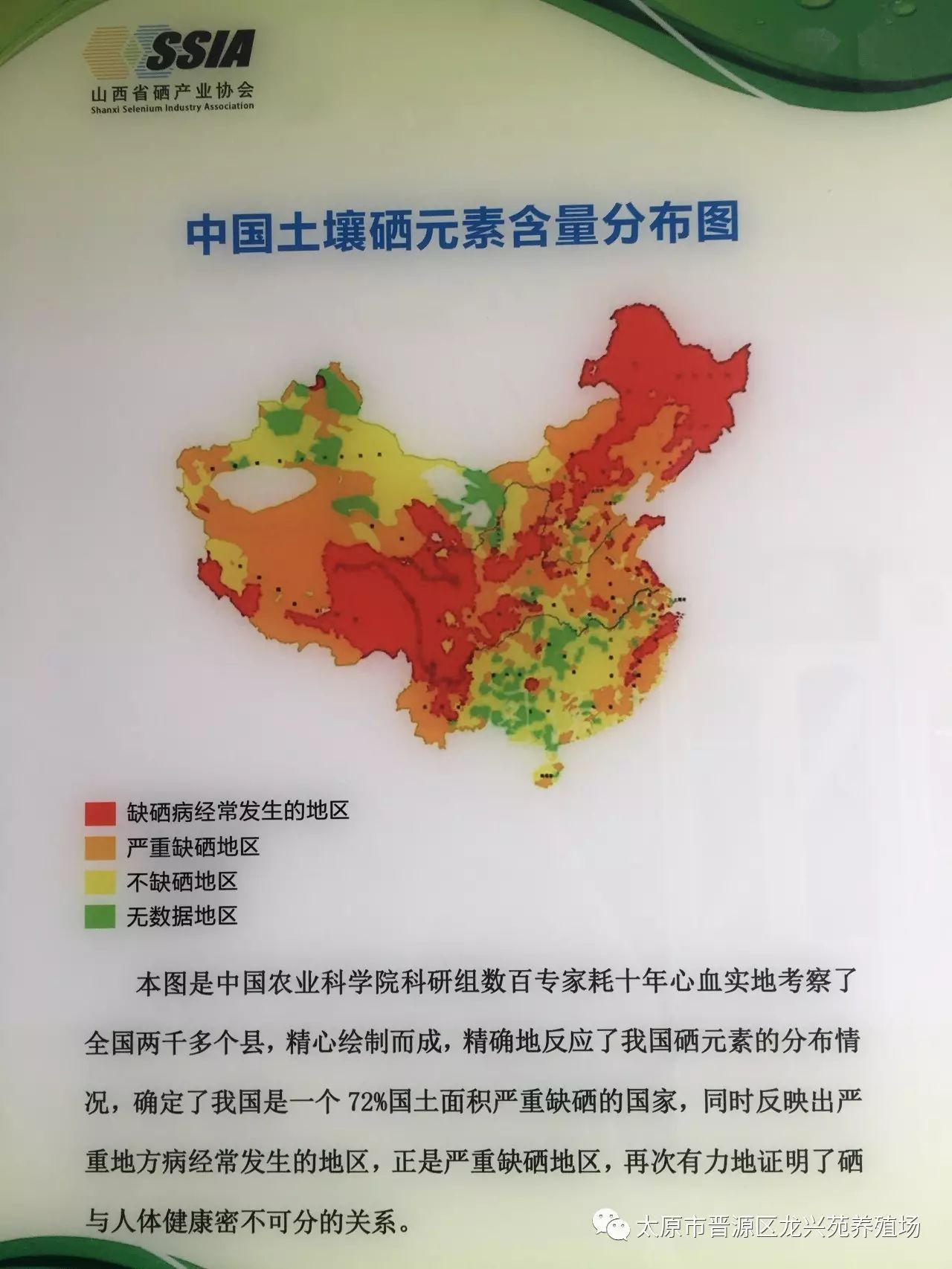 富硒玉米黄鸡蛋（玉米黄鸡蛋和富硒蛋）-硒宝网