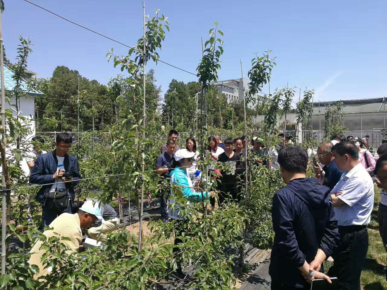 湘华果园富硒鸡蛋（富硒鸡蛋批发市?。?硒宝网