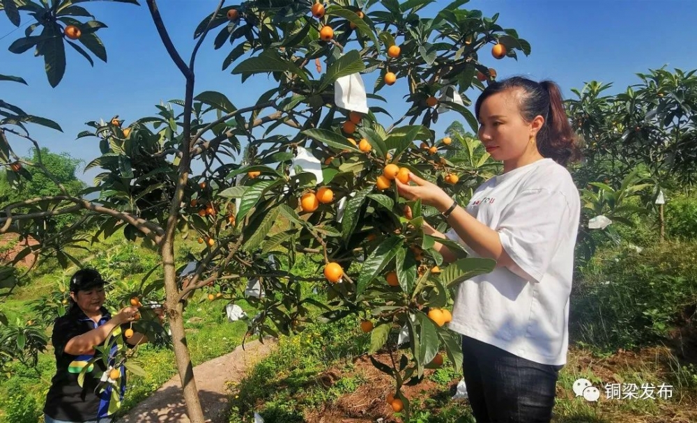 湘华果园富硒鸡蛋（富硒鸡蛋批发市?。?硒宝网