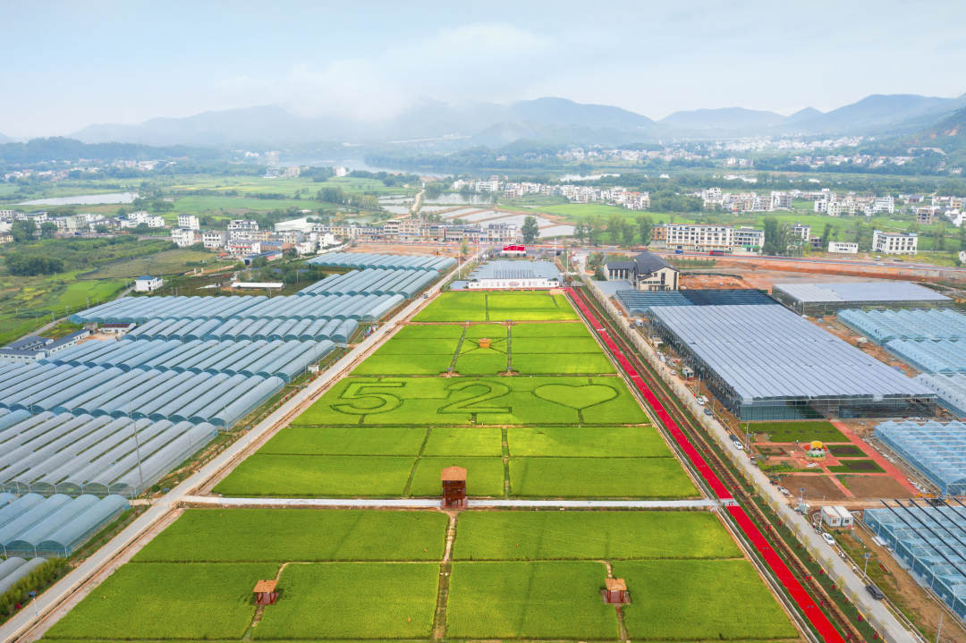 广西富硒地区（广西富硒地区有哪些地方）-硒宝网