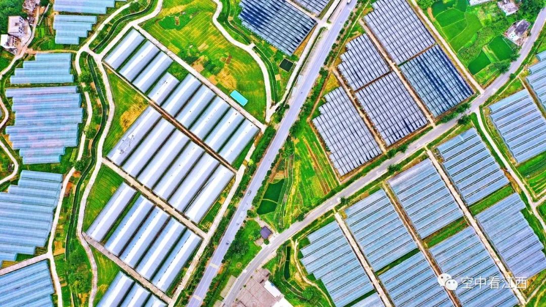 广西富硒地区（广西富硒地区有哪些地方）-硒宝网