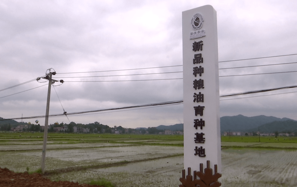 广西富硒地区（广西富硒地区有哪些地方）-硒宝网