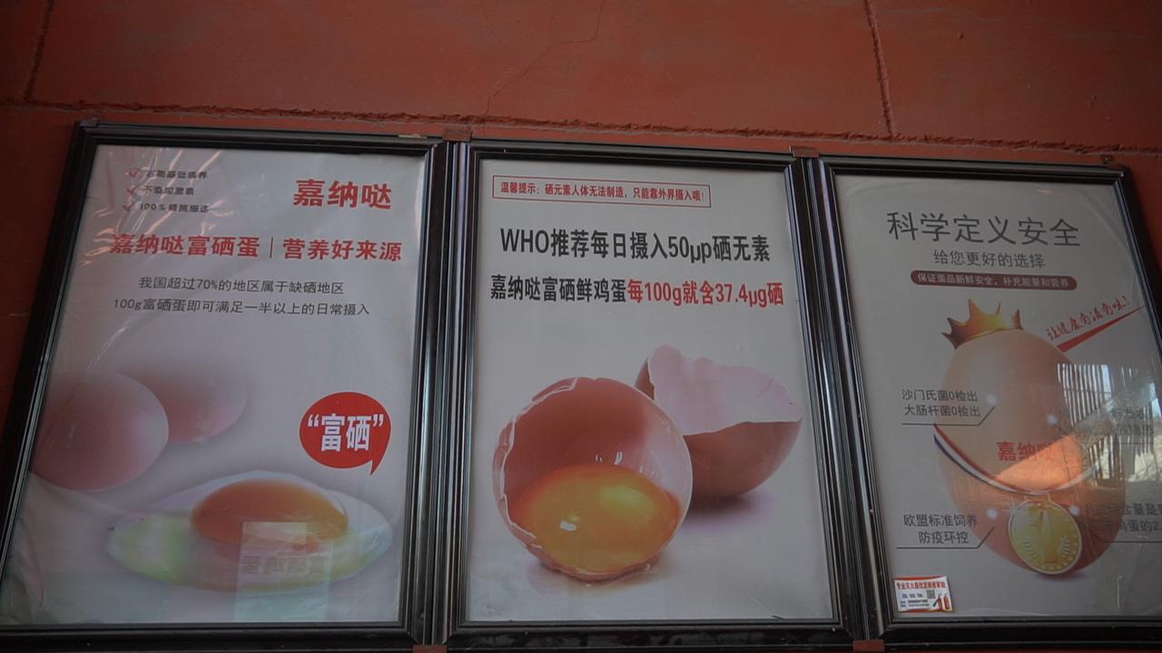 富硒鸡蛋的保养（保养鸡蛋富硒的食物）-硒宝网