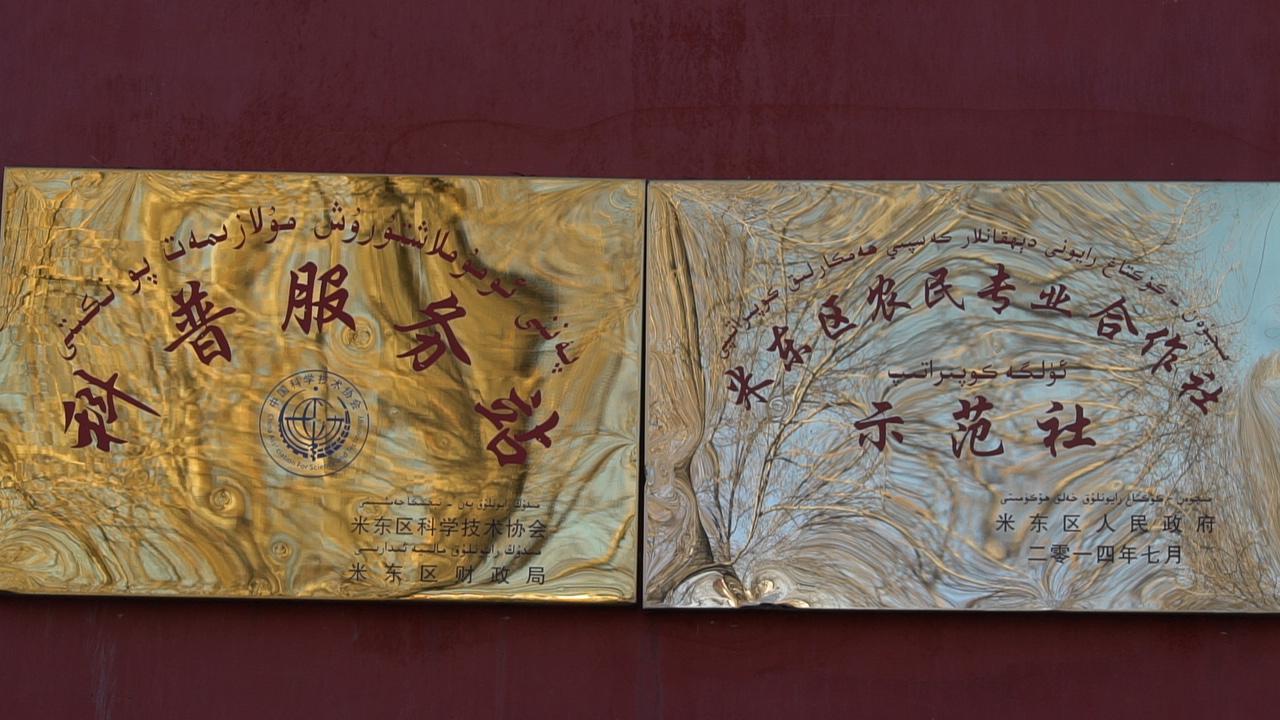 富硒鸡蛋的保养（保养鸡蛋富硒的食物）-硒宝网