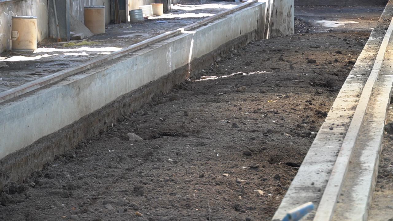 富硒鸡蛋的保养（保养鸡蛋富硒的食物）-硒宝网