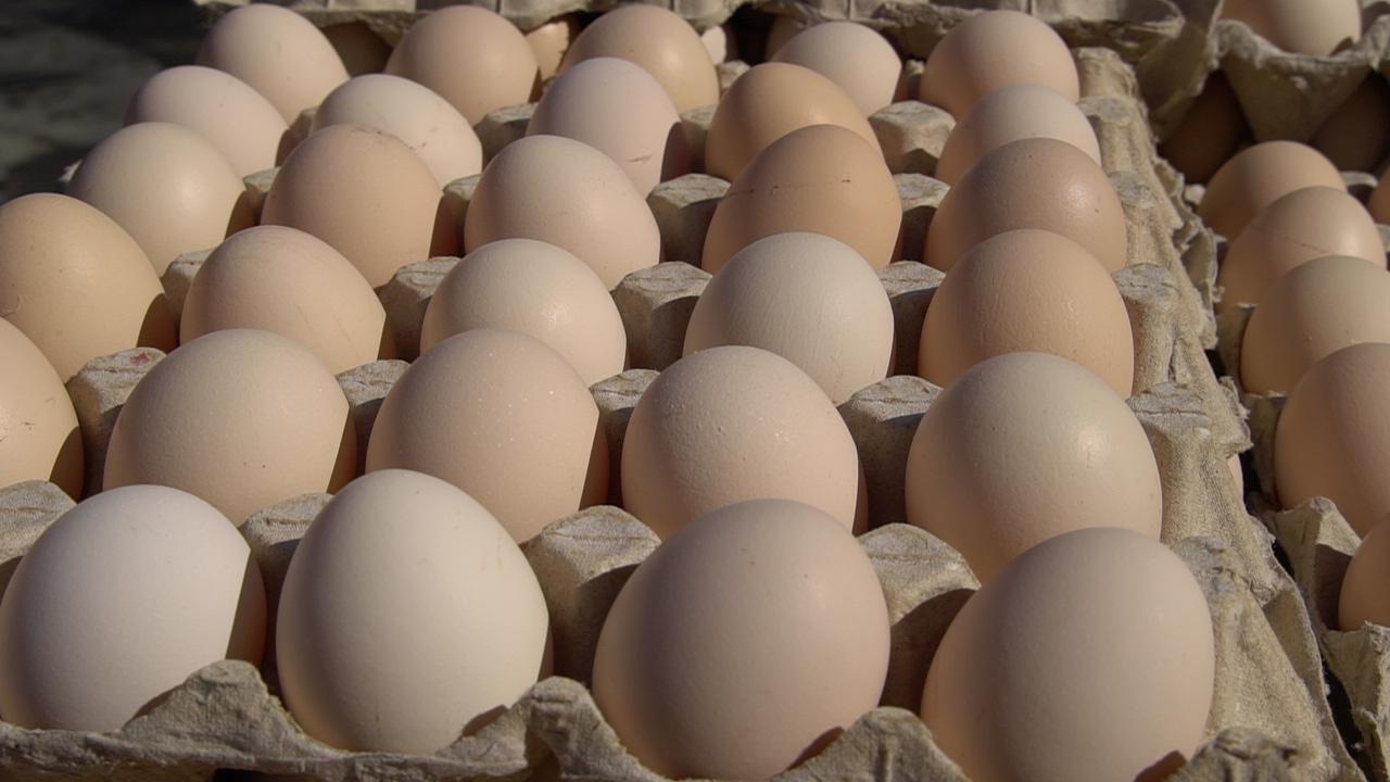 富硒鸡蛋的保养（保养鸡蛋富硒的食物）-硒宝网