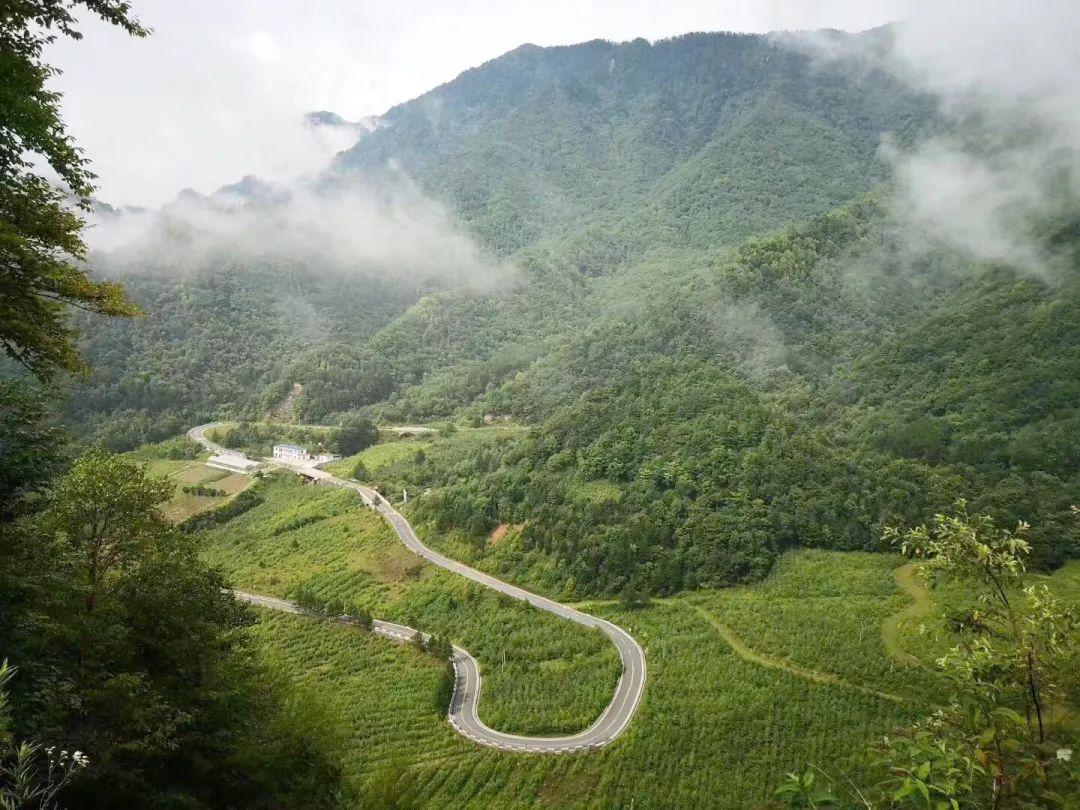 富硒鸡蛋哪里产的最好(鸡蛋富硒是什么意思)-硒宝网