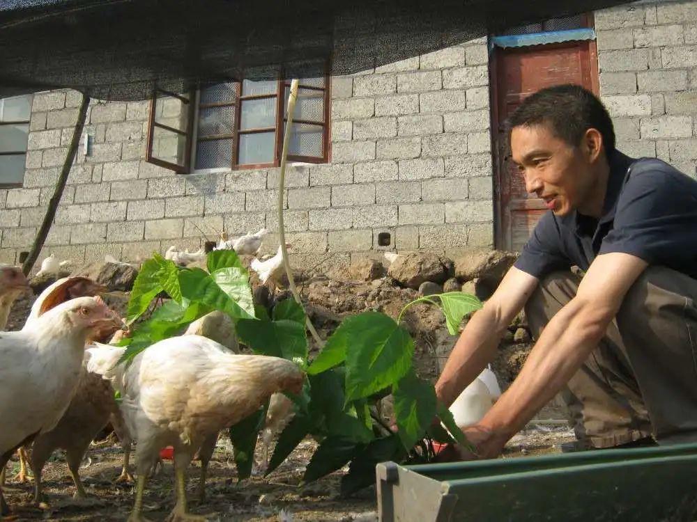 富硒鸡蛋哪里产的最好(鸡蛋富硒是什么意思)-硒宝网