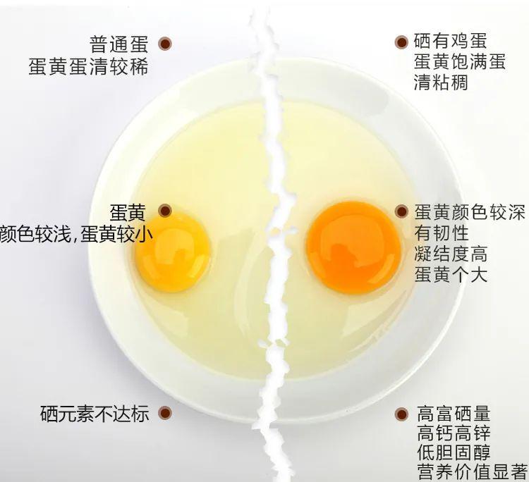 富硒鸡蛋哪里产的最好(鸡蛋富硒是什么意思)-硒宝网