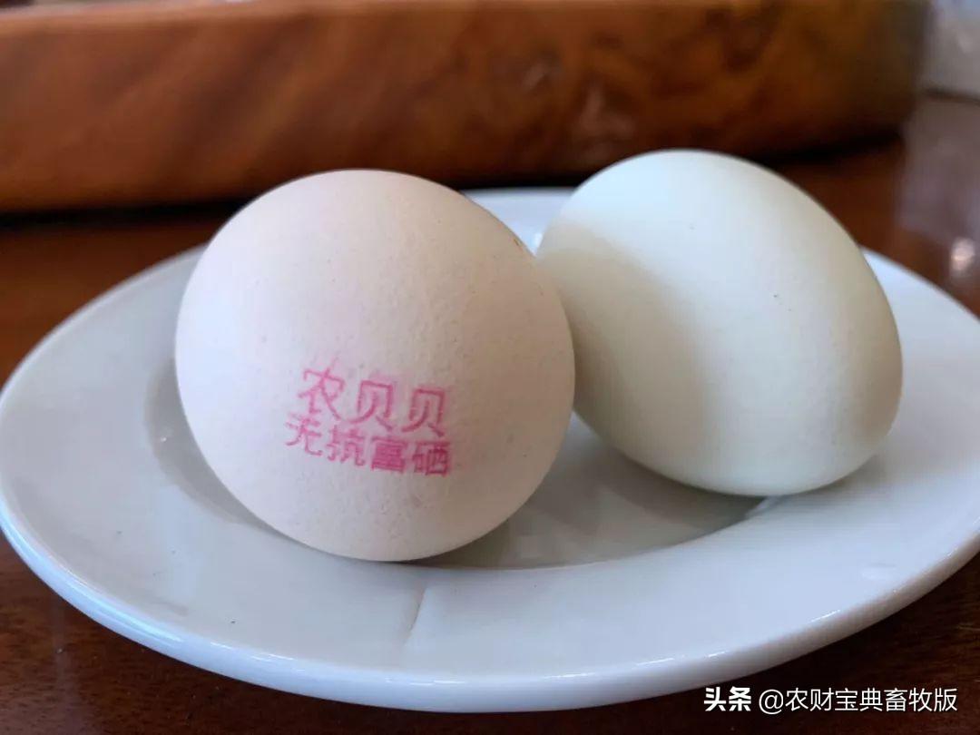 无抗富硒鸡蛋好不好（无抗富硒鸡蛋什么意思）-硒宝网