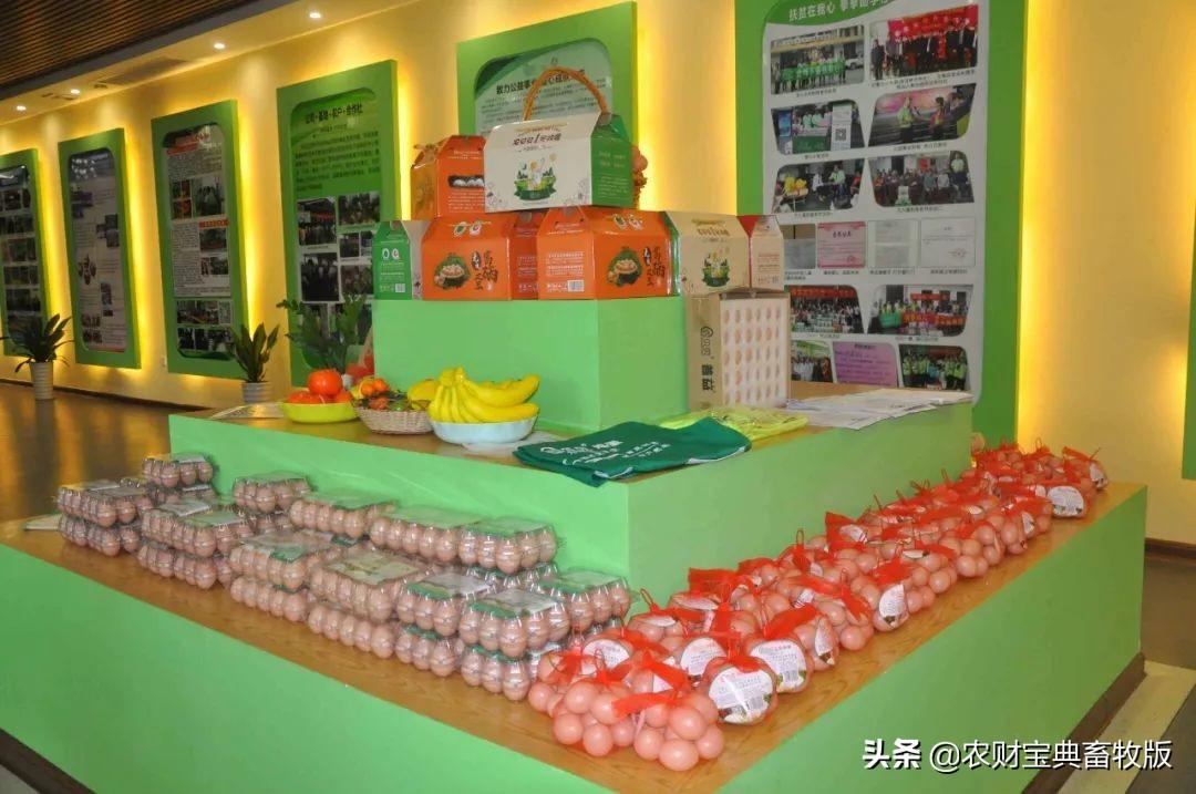 无抗富硒鸡蛋好不好（无抗富硒鸡蛋什么意思）-硒宝网