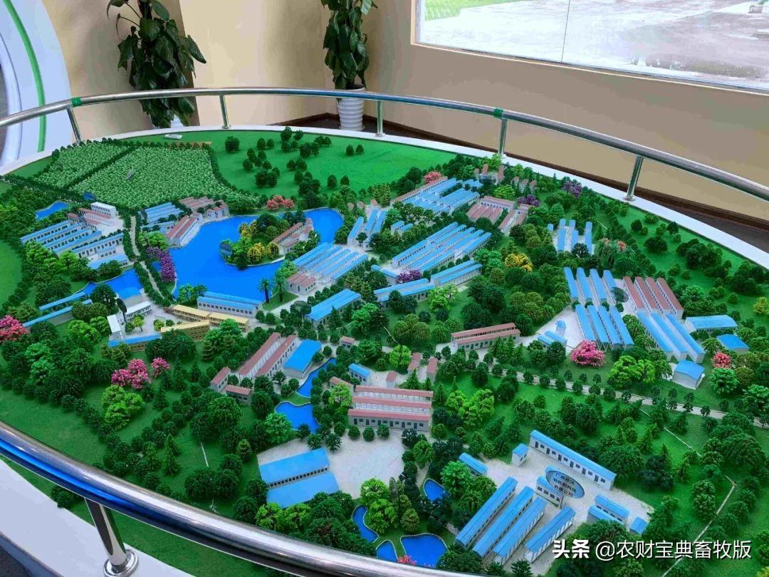 无抗富硒鸡蛋好不好（无抗富硒鸡蛋什么意思）-硒宝网