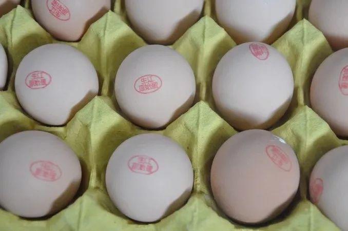 那种鸡最适合生产富硒鸡蛋（富硒鸡蛋开发方案）-硒宝网