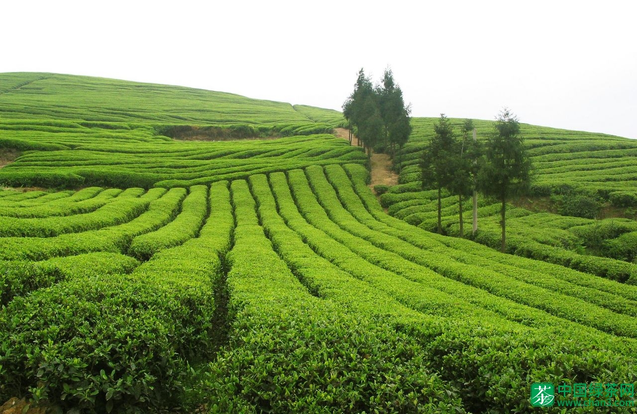 中国富硒地区排名(中国十大富硒之乡)-硒宝网