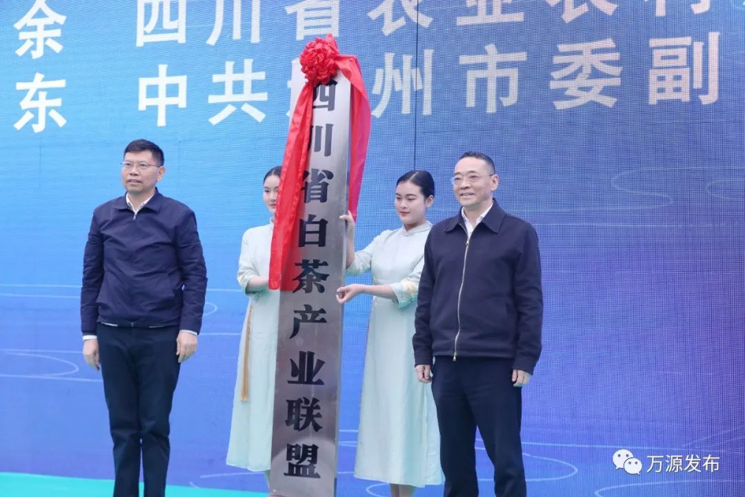 中国富硒茶之都（中国富硒茶哪些地方产）-硒宝网