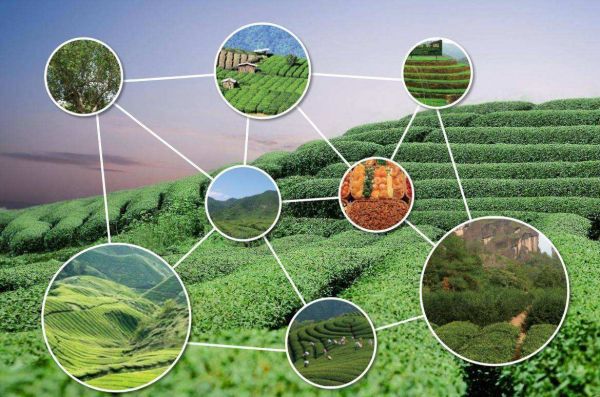 湖北恩施的富硒是什么意思(恩施富硒特产)-硒宝网