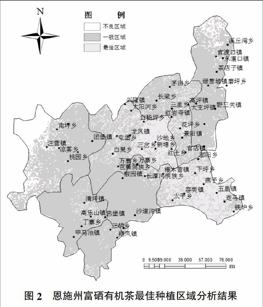 富硒茶茶种植方法（富硒茶生长环境）-硒宝网